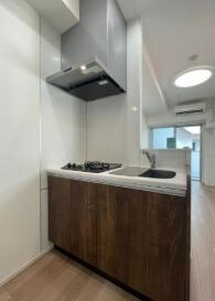 プレール・ドゥーク錦糸公園NORTHの物件内観写真