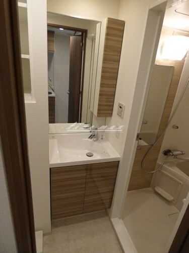 吉野町駅 徒歩5分 11階の物件内観写真