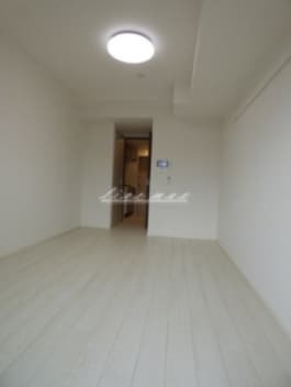 吉野町駅 徒歩5分 11階の物件内観写真