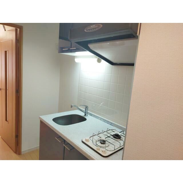 パレステュディオDOLCE本駒込の物件内観写真