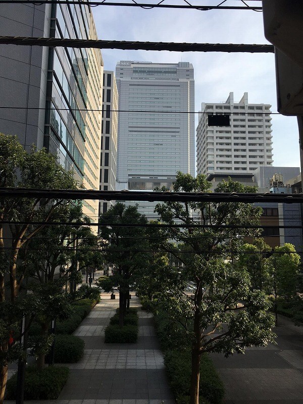 フェニックス芝公園の物件内観写真