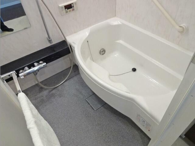 ザ・ミレナリータワーズの物件内観写真