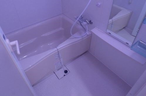 関内駅 徒歩4分 5階の物件内観写真