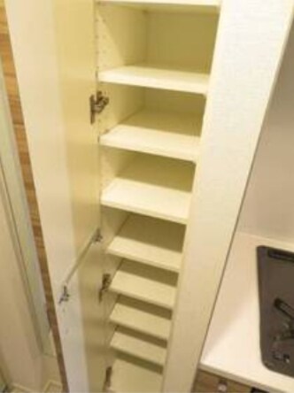 吉野町駅 徒歩5分 9階の物件内観写真