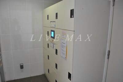 黄金町駅 徒歩5分 5階の物件内観写真