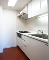 パークフラッツ横濱公園の物件内観写真