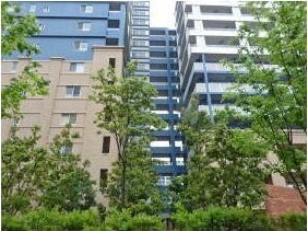 矢向駅 徒歩12分 5階の物件内観写真