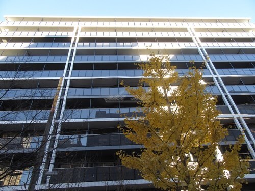 関内駅 徒歩10分 4階の物件外観写真