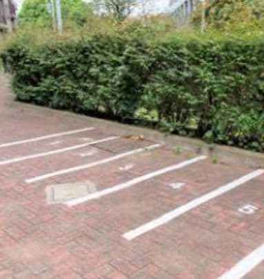 Ｔ’ｓ　ｇａｒｄｅｎ横浜反町の物件内観写真