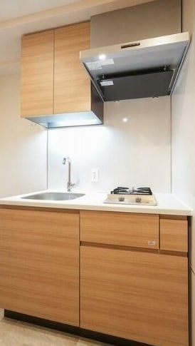 川崎駅 徒歩5分 13階の物件内観写真