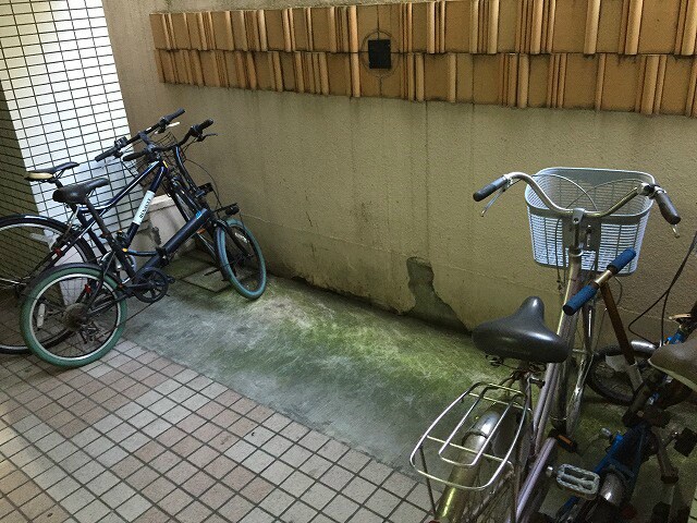 川崎駅 徒歩9分 5階の物件内観写真