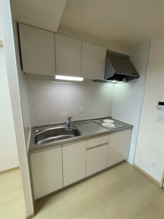 RYUO HILLSの物件内観写真