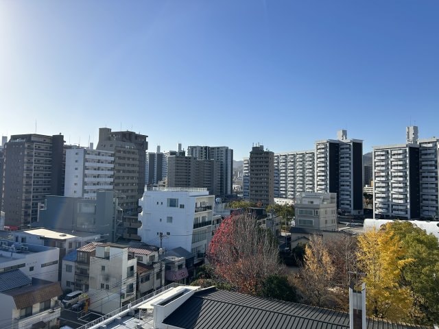 ディアメゾン新白島駅の物件内観写真