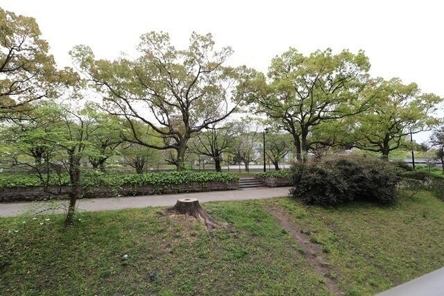 グランドポレストーネ東平塚の物件内観写真