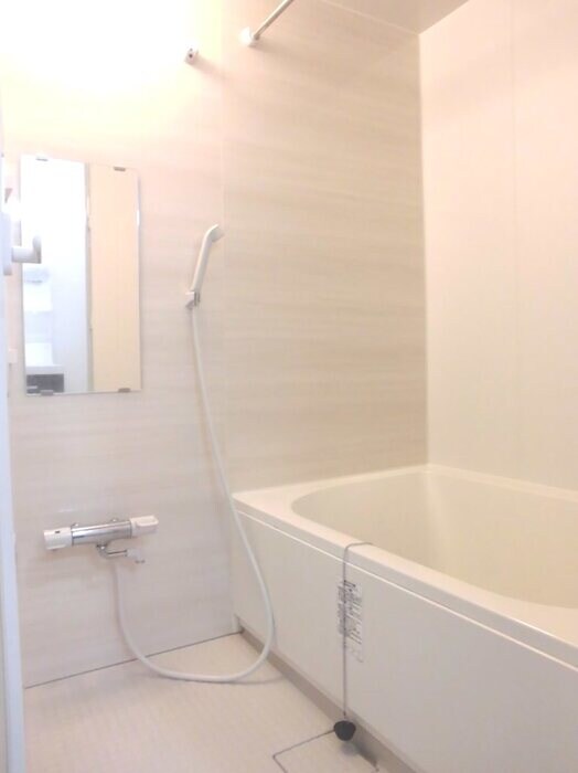 RYUO HILLSの物件内観写真