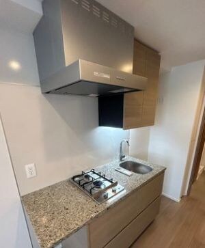 ザ・パークハビオ文京江戸川橋の物件内観写真