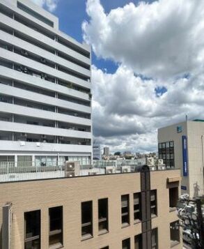 ザ・パークハビオ文京江戸川橋の物件内観写真