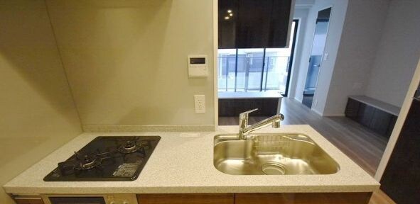 牛込柳町駅 徒歩4分 11階の物件内観写真