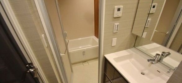 牛込柳町駅 徒歩4分 11階の物件内観写真