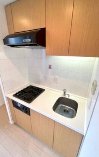 レジディア市ヶ谷の物件内観写真