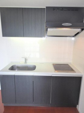 高田馬場駅 徒歩4分 13階の物件内観写真