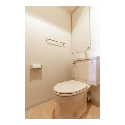 石神井公園ピアレス・ザ・タワーの物件内観写真