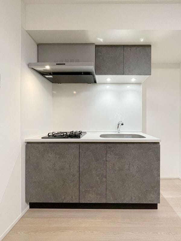 S-RESIDENCE新宿早稲田avelisの物件内観写真