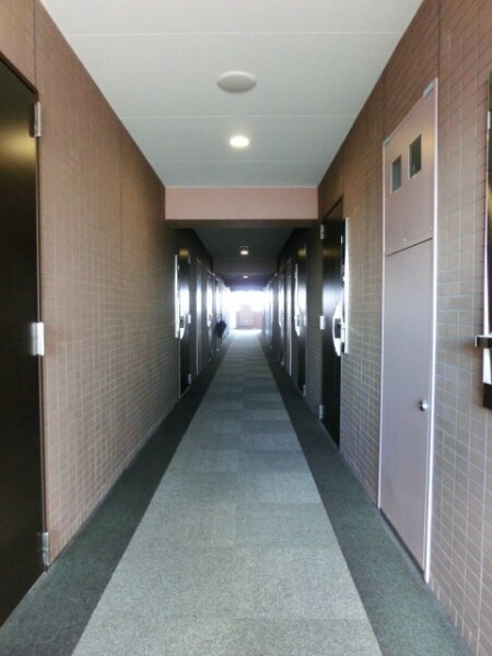 板橋本町駅 徒歩2分 13階の物件外観写真