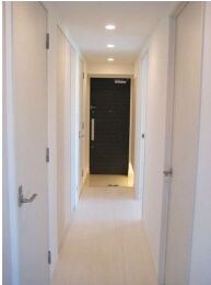 早稲田駅 徒歩6分 5階の物件内観写真