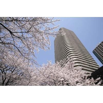 リバーポイントタワーの物件外観写真