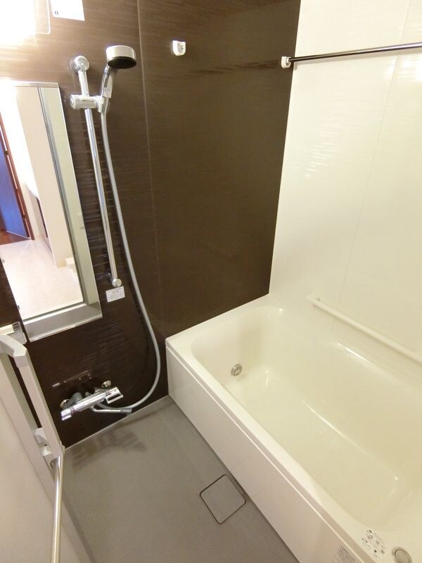 ディアレイシャス港区海岸の物件内観写真