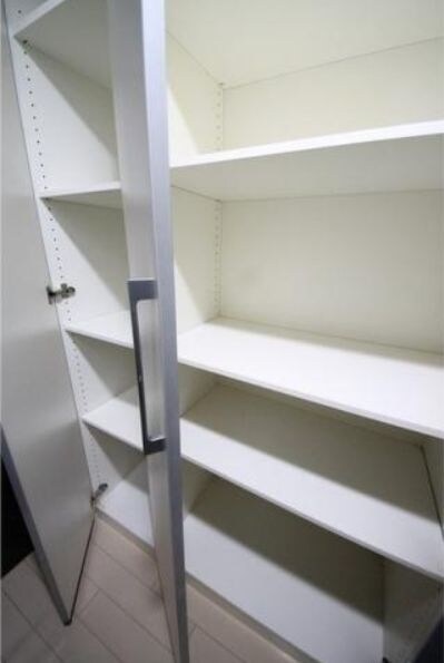 グランスイート銀座レスティモナークの物件内観写真