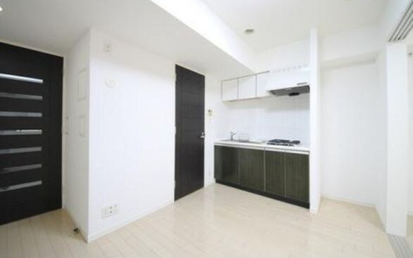 グランスイート銀座レスティモナークの物件内観写真