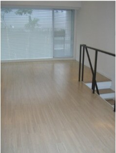 カスタリア芝公園の物件内観写真