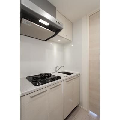 レビスタ白金高輪の物件内観写真