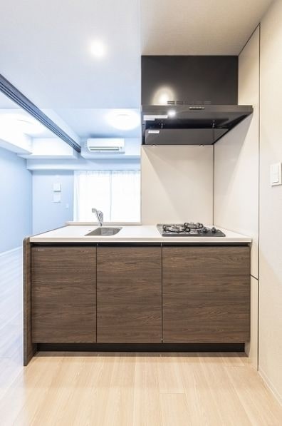 デュオフラッツ品川戸越の物件内観写真