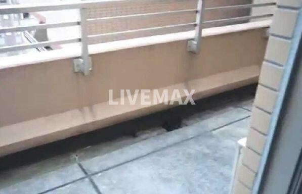 ファミール芝公園グランスイートラ・ヴィルの物件内観写真