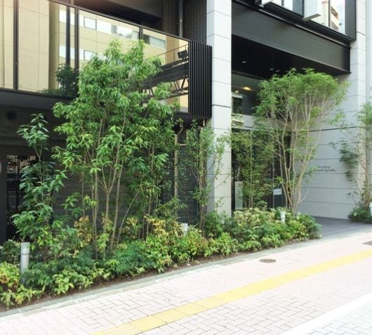 シティハウス東麻布の物件内観写真