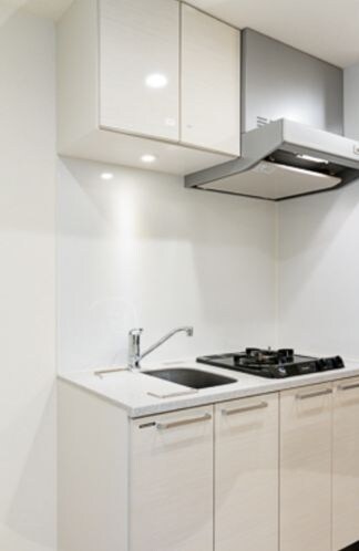 レビスタ白金高輪の物件内観写真