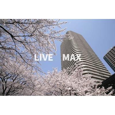 リバーポイントタワーの物件外観写真