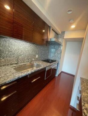 シティタワー麻布十番の物件内観写真