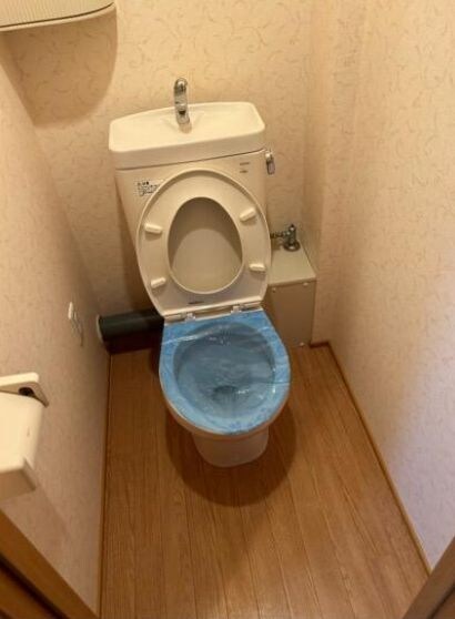 セルピエンテⅡの物件内観写真