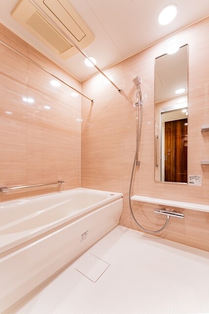 ミレアコート銀座プレミアの物件内観写真