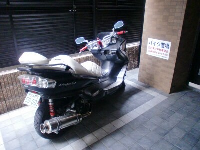 フェニックス江戸川橋の物件内観写真