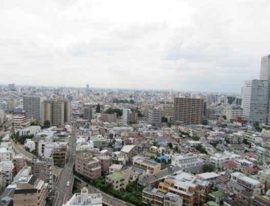 ザ・パークハウス西新宿タワー60の物件内観写真