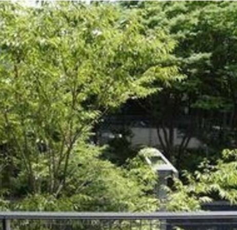 パークフロント西新宿の物件内観写真