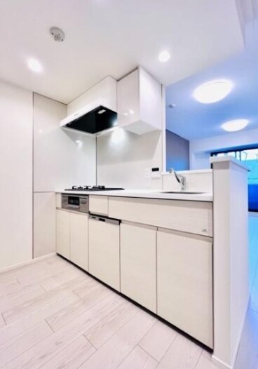 Ｂｒｉｌｌｉａ　ｉｓｔ　文京六義園の物件内観写真