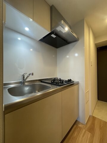 S-RESIDENCE堀田駅前futur(フチュール)の物件内観写真