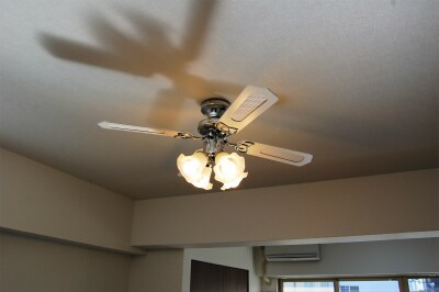 The　Sengen　Terrace(ザセンゲンテラス)の物件内観写真