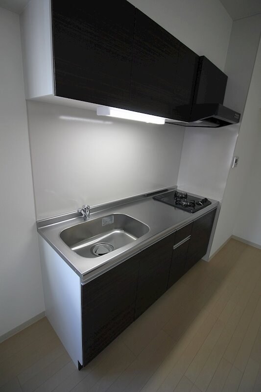 パークレジデンス丸の内駅前の物件内観写真